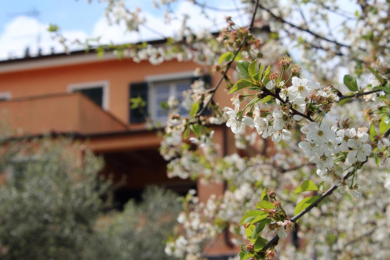 Villa Arancia Quiet, Central, Parking And Air Conditioning 레반토 외부 사진
